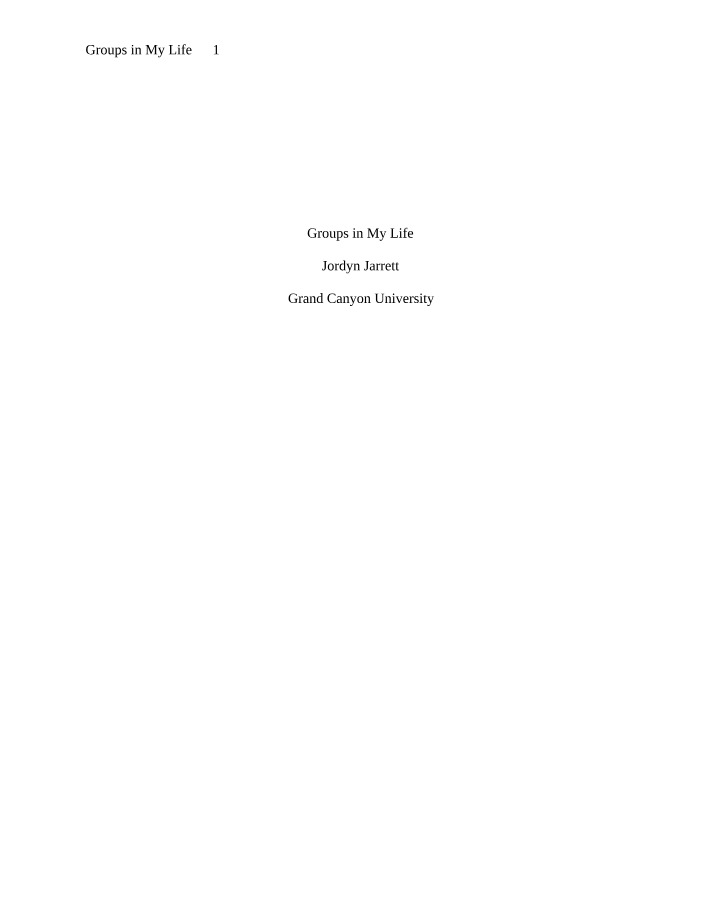 Work and Family Dynamics - Groups in My Life