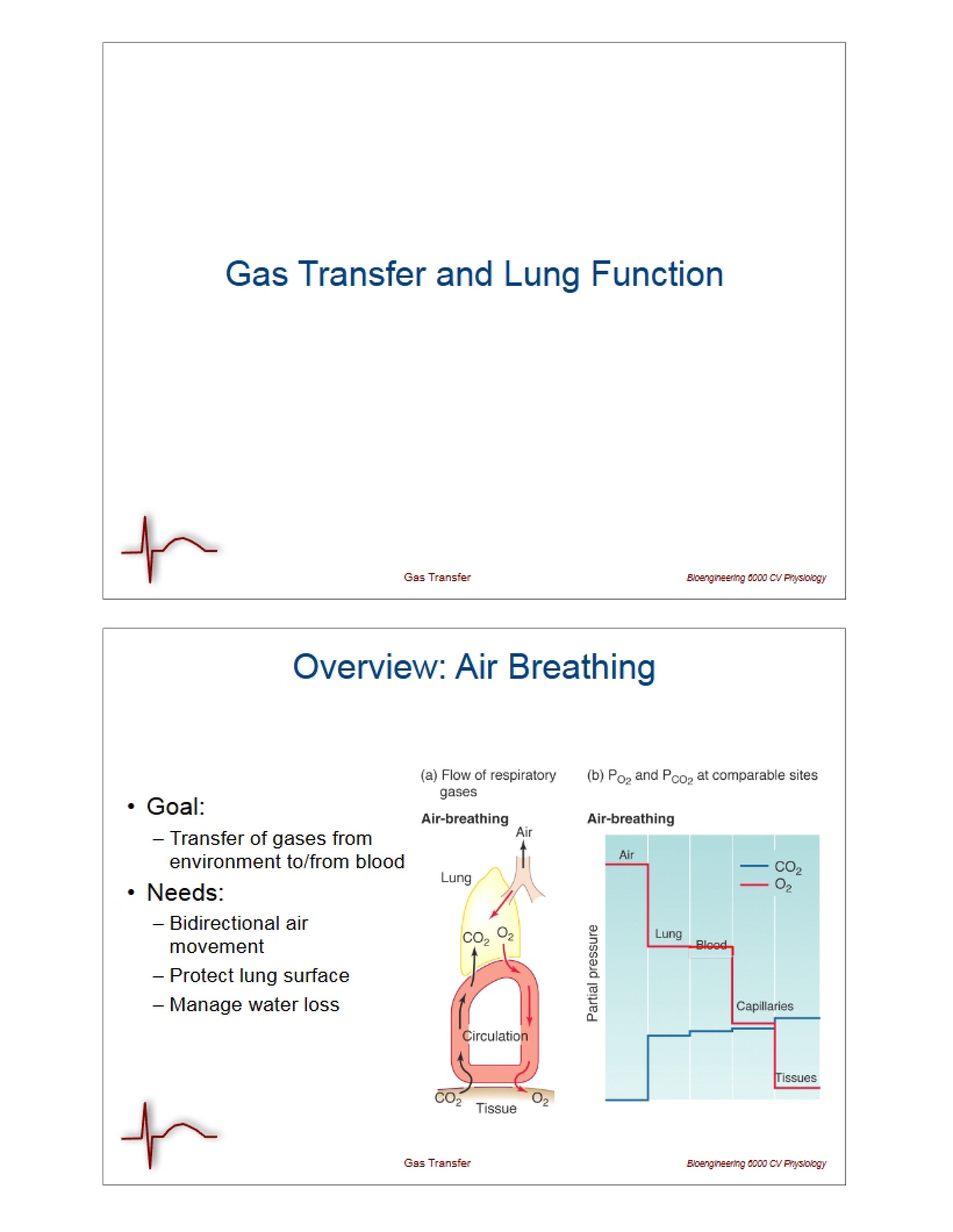 Lung Function and Gas Transfer Notes