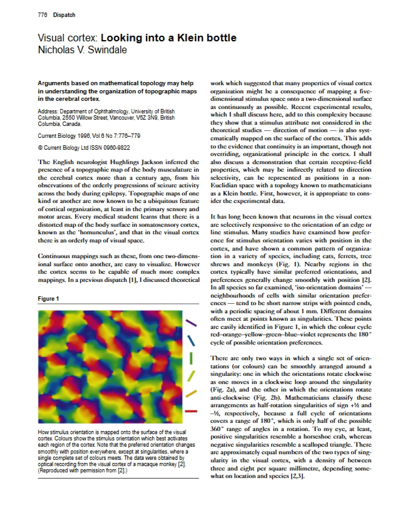 Klein Bottles and the Visual Cortex