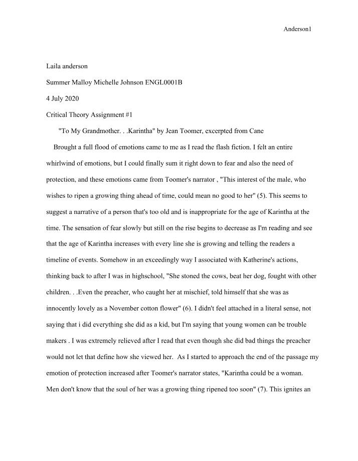 Assignment 1 - Critical Theory