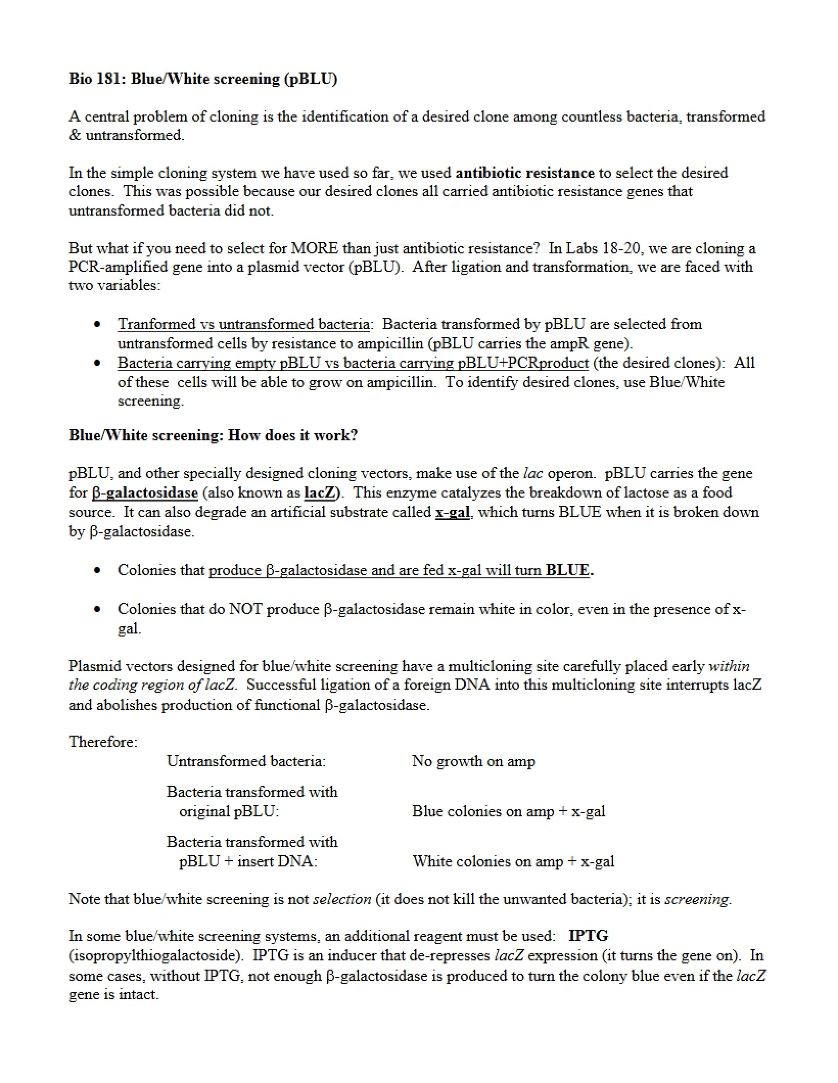 Notes on Molecular Biology Lab
