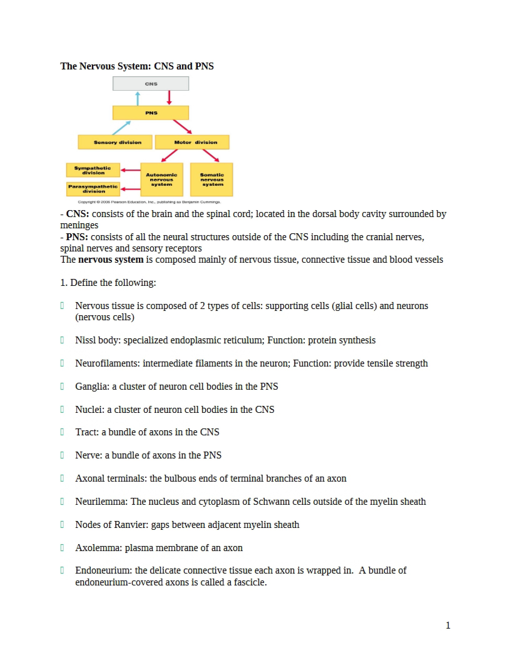 Nervous System CNS and PNS