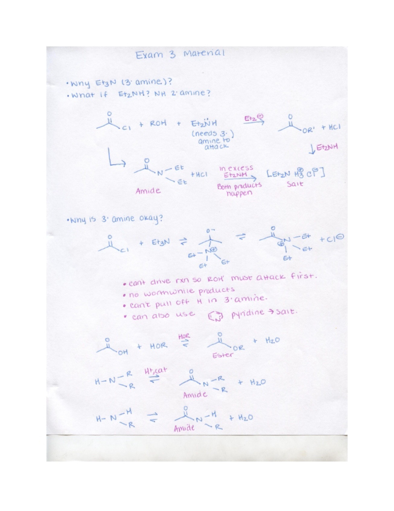 Third Exam Study Materials