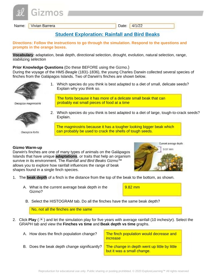 Rainfall and Bird Beaks - Student Exploration