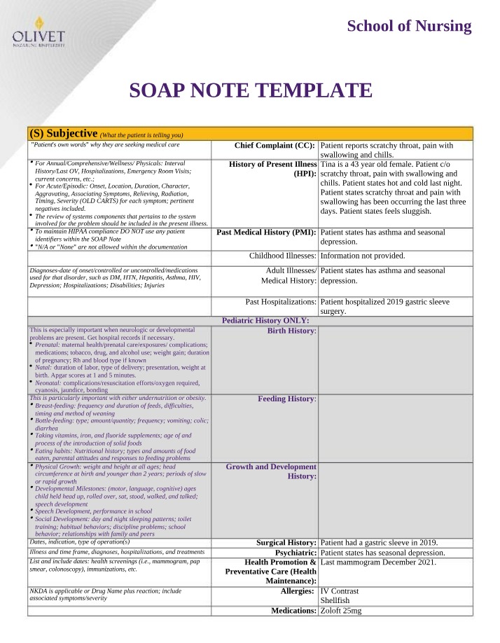 Nursing Students SOAP Note Template