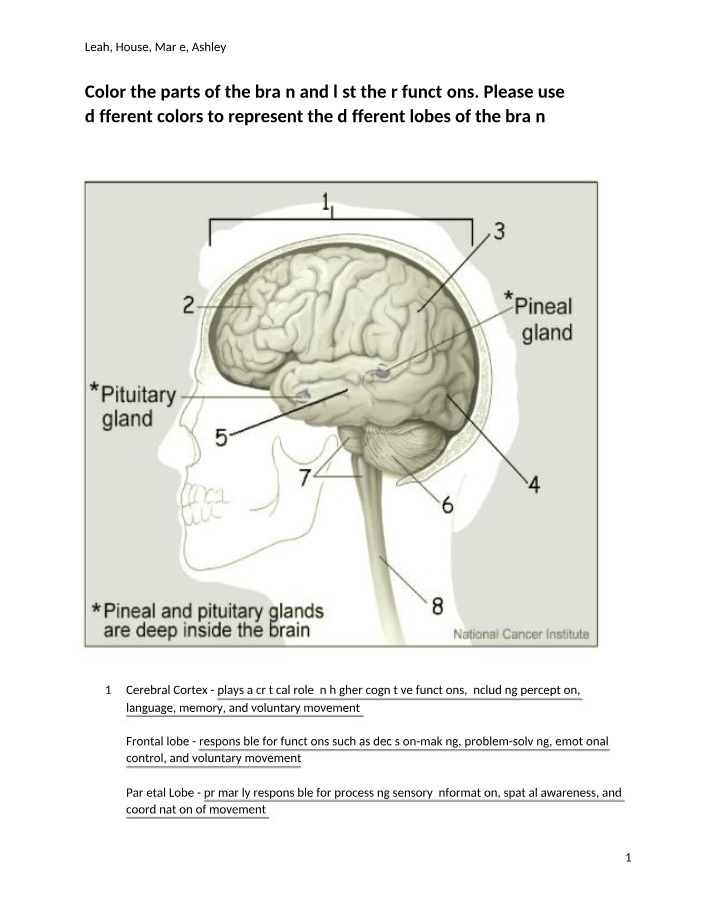 BIO116L - Brain Copy