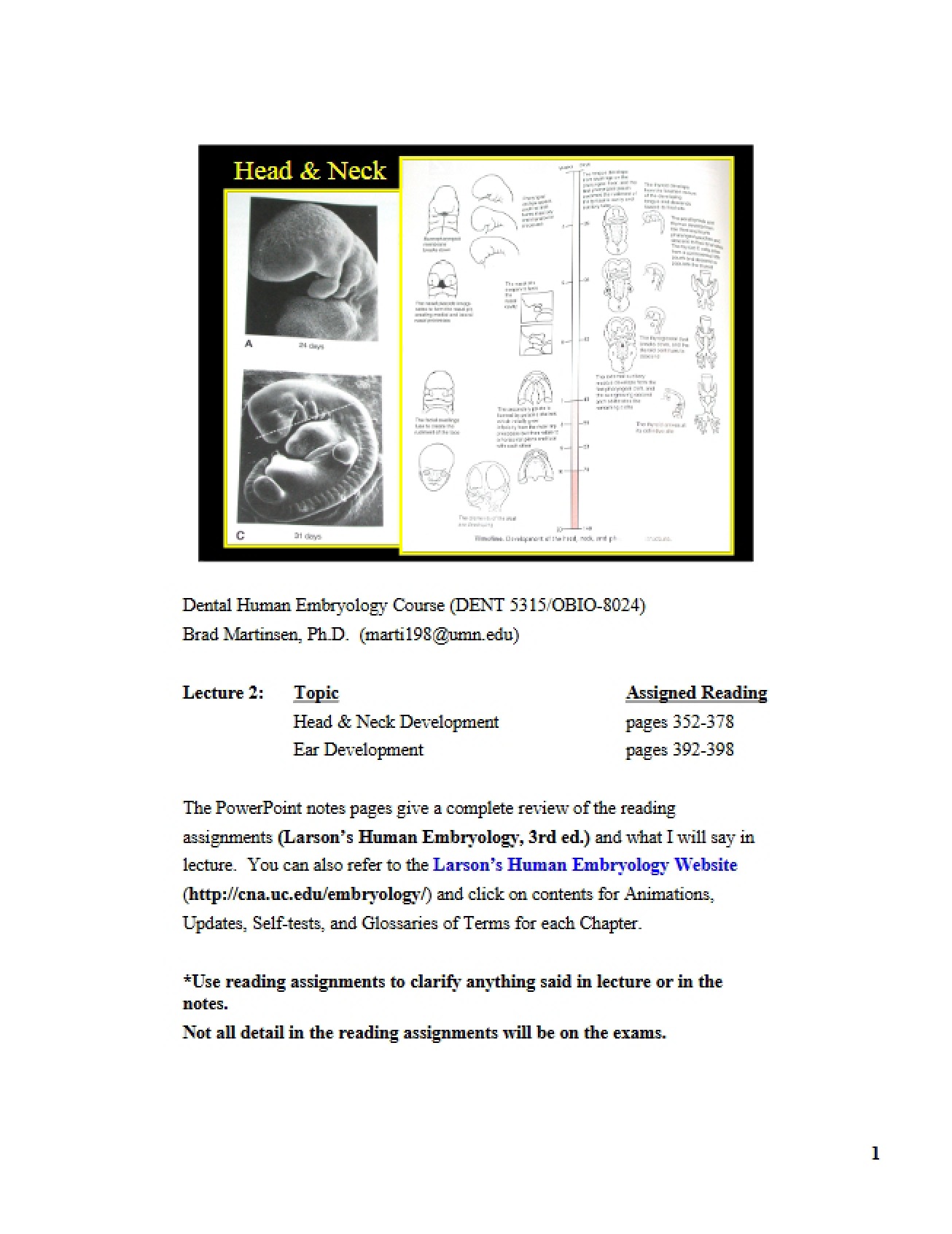Two Color Embryology