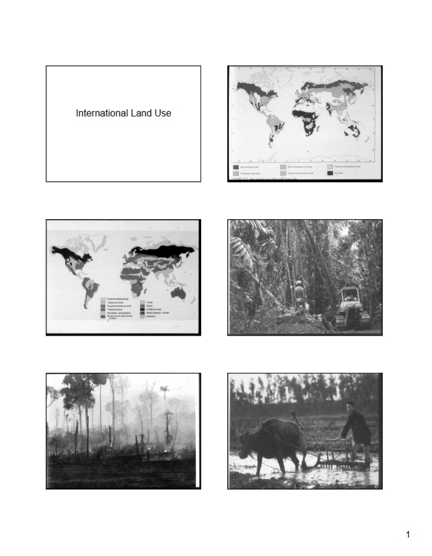 Degradation and International Land Use
