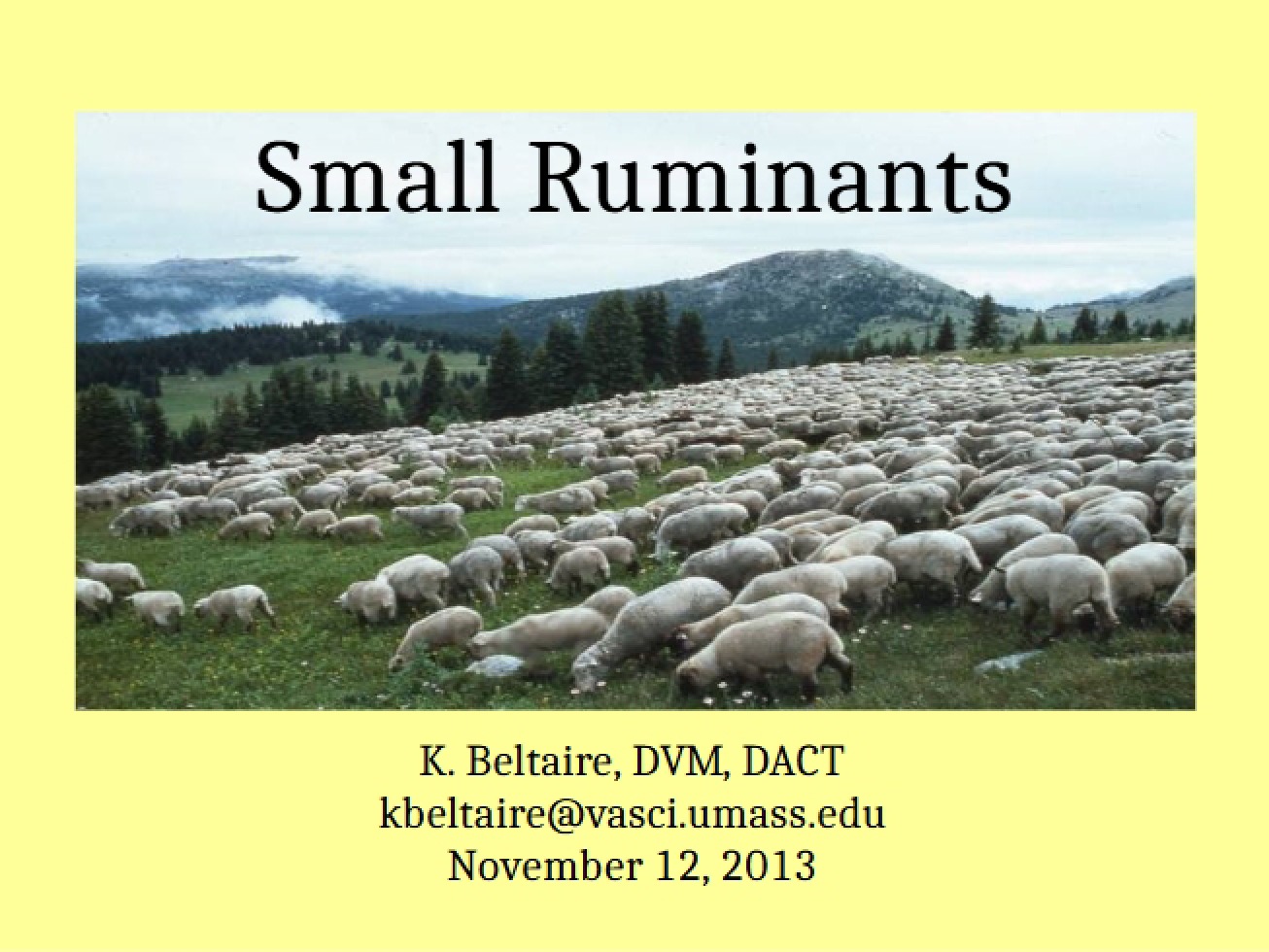 Small Ruminant Management (Lecture 17)
