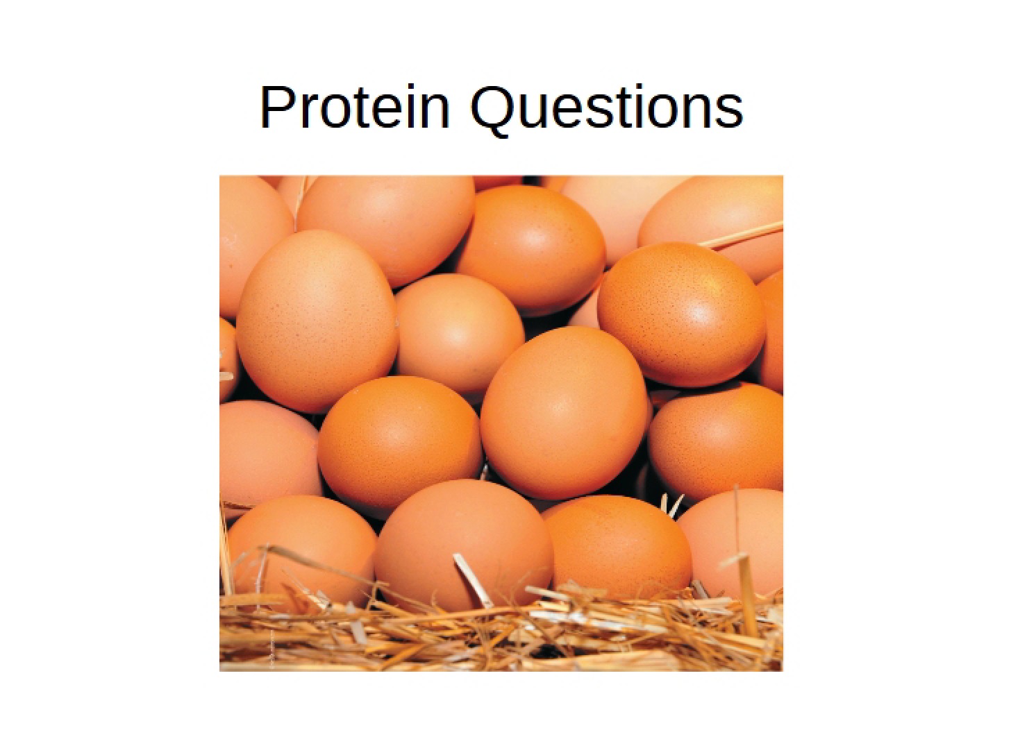 Clicker Questions (Ch 6)