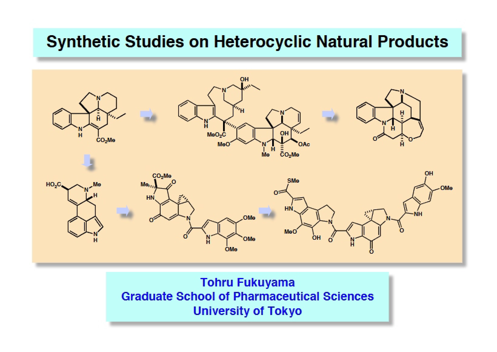 Heterocyclic Synthetic Studies