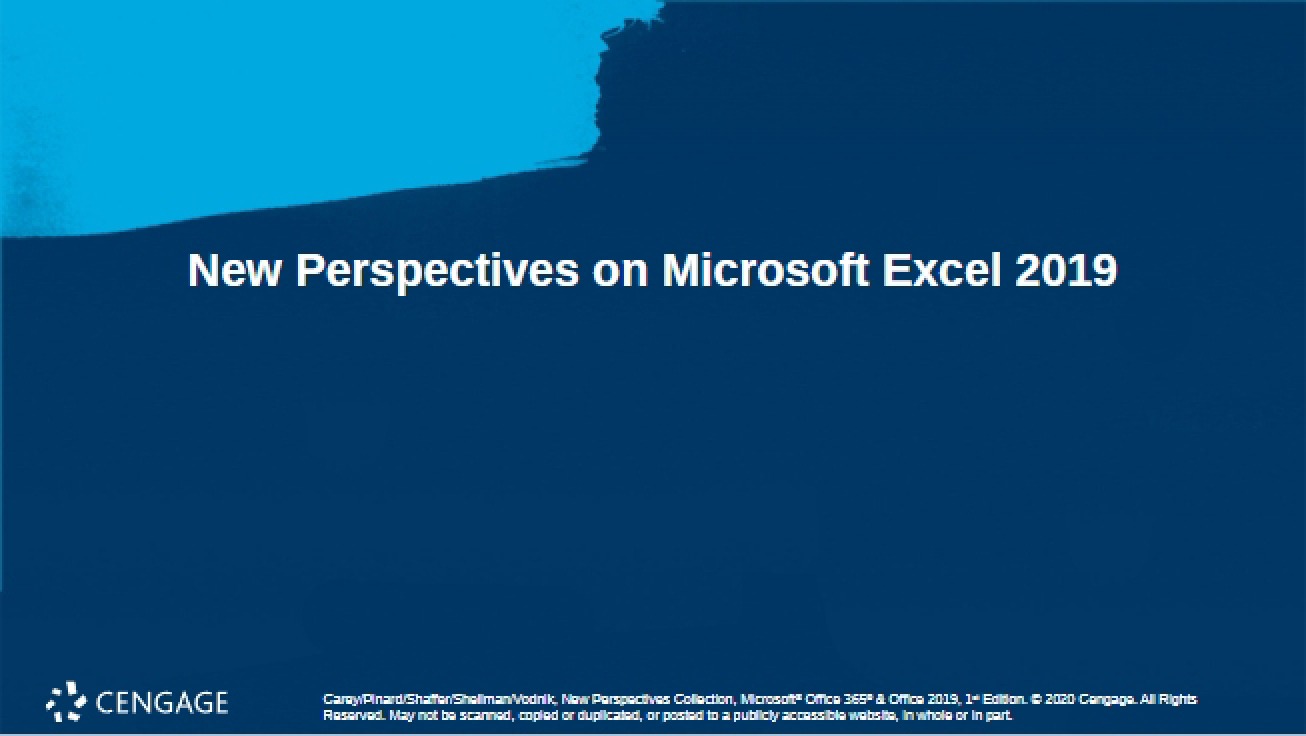 Microsoft Excel 2019 New Perspectives