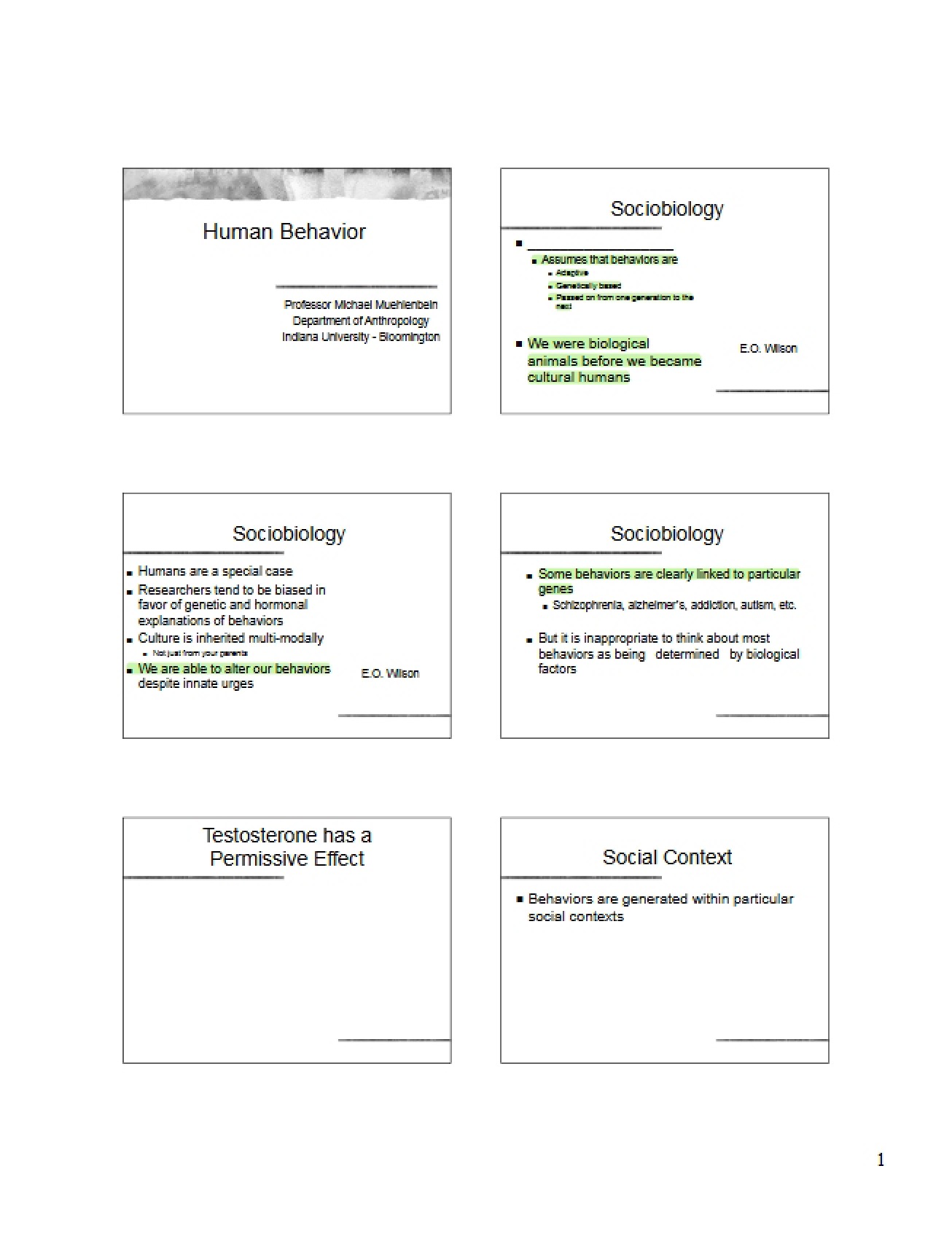 Lecture 11 Behavior