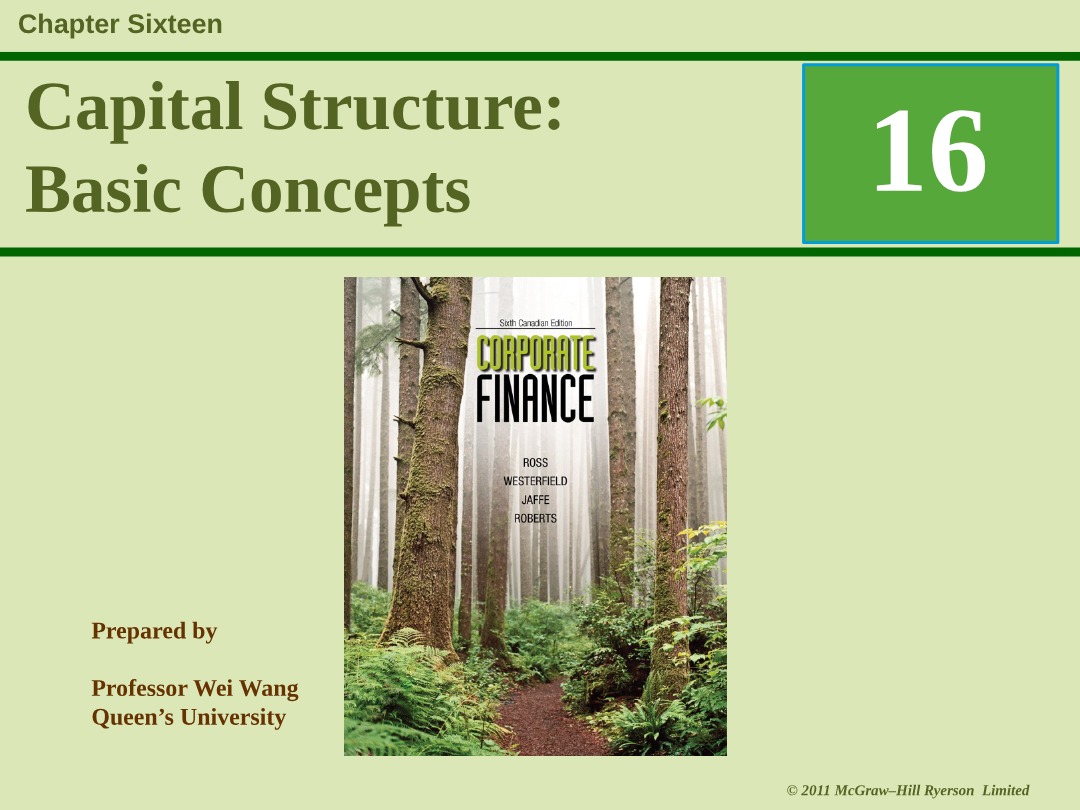 Basic Concepts of Capital Structure