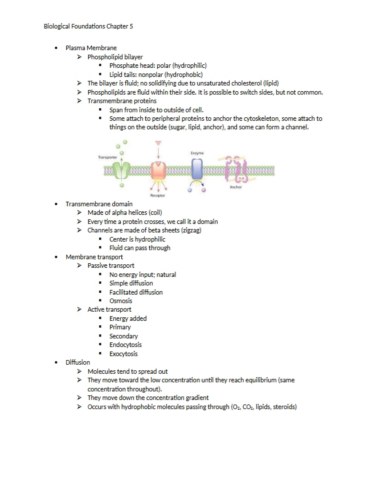 Bio Foundations Chapter 5