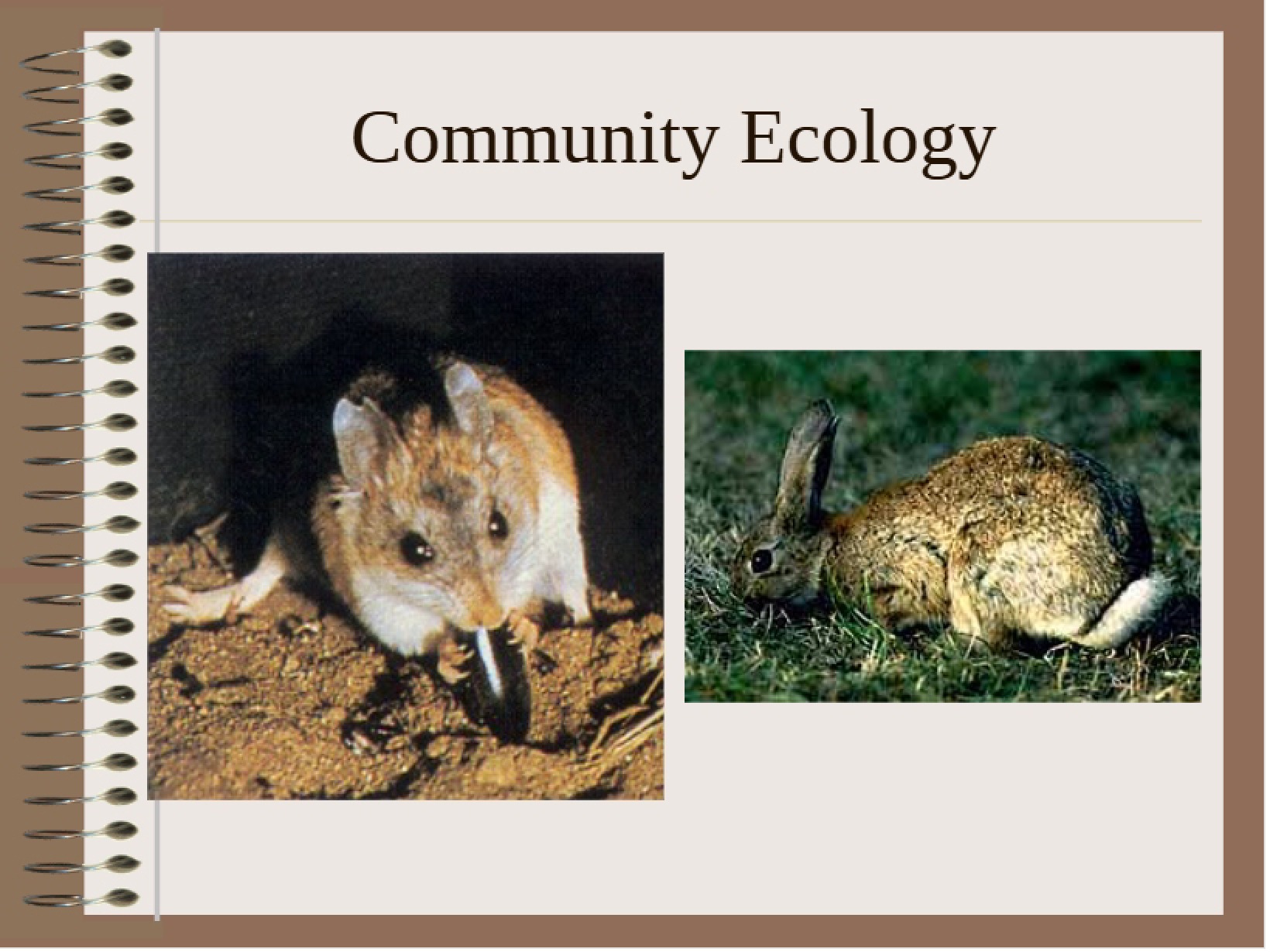 Ecology of Communities