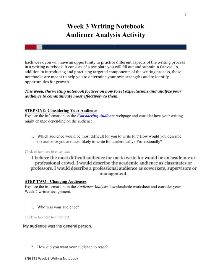 Audience Analysis - Class Activity