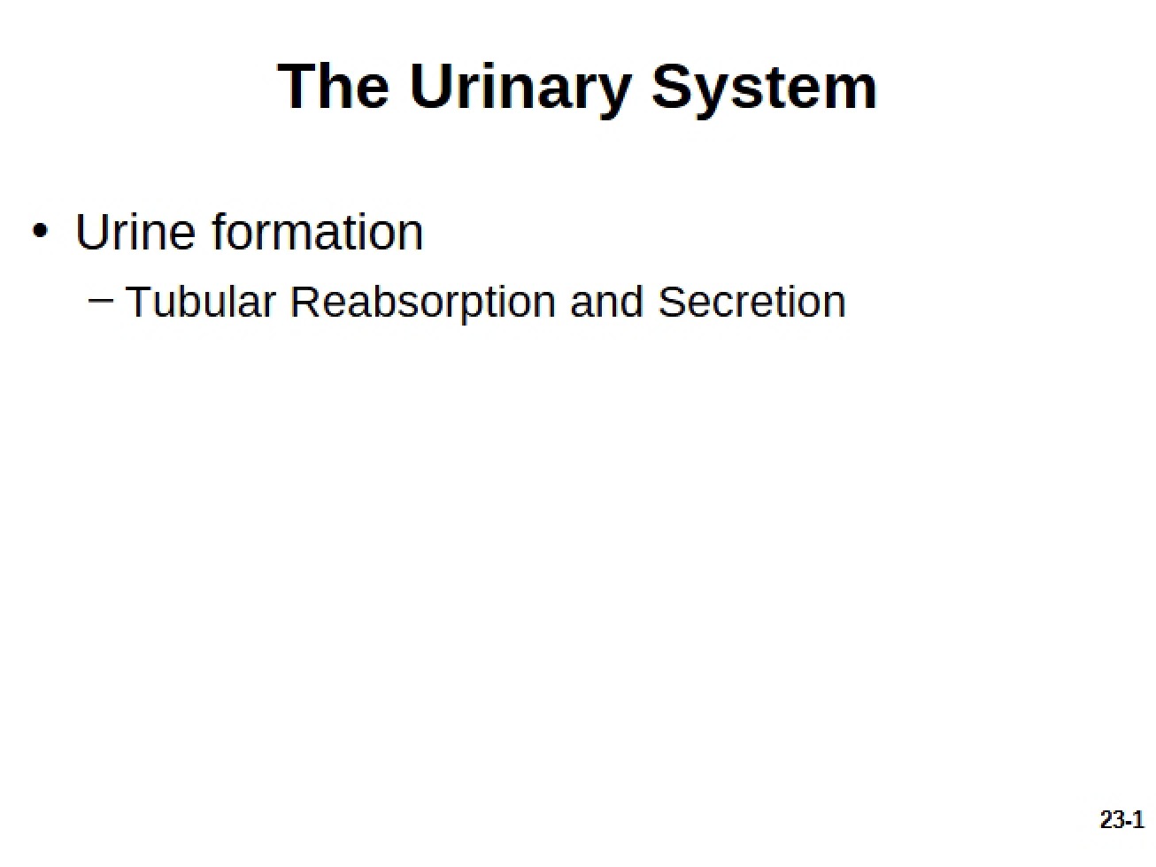 Urinary Tract System