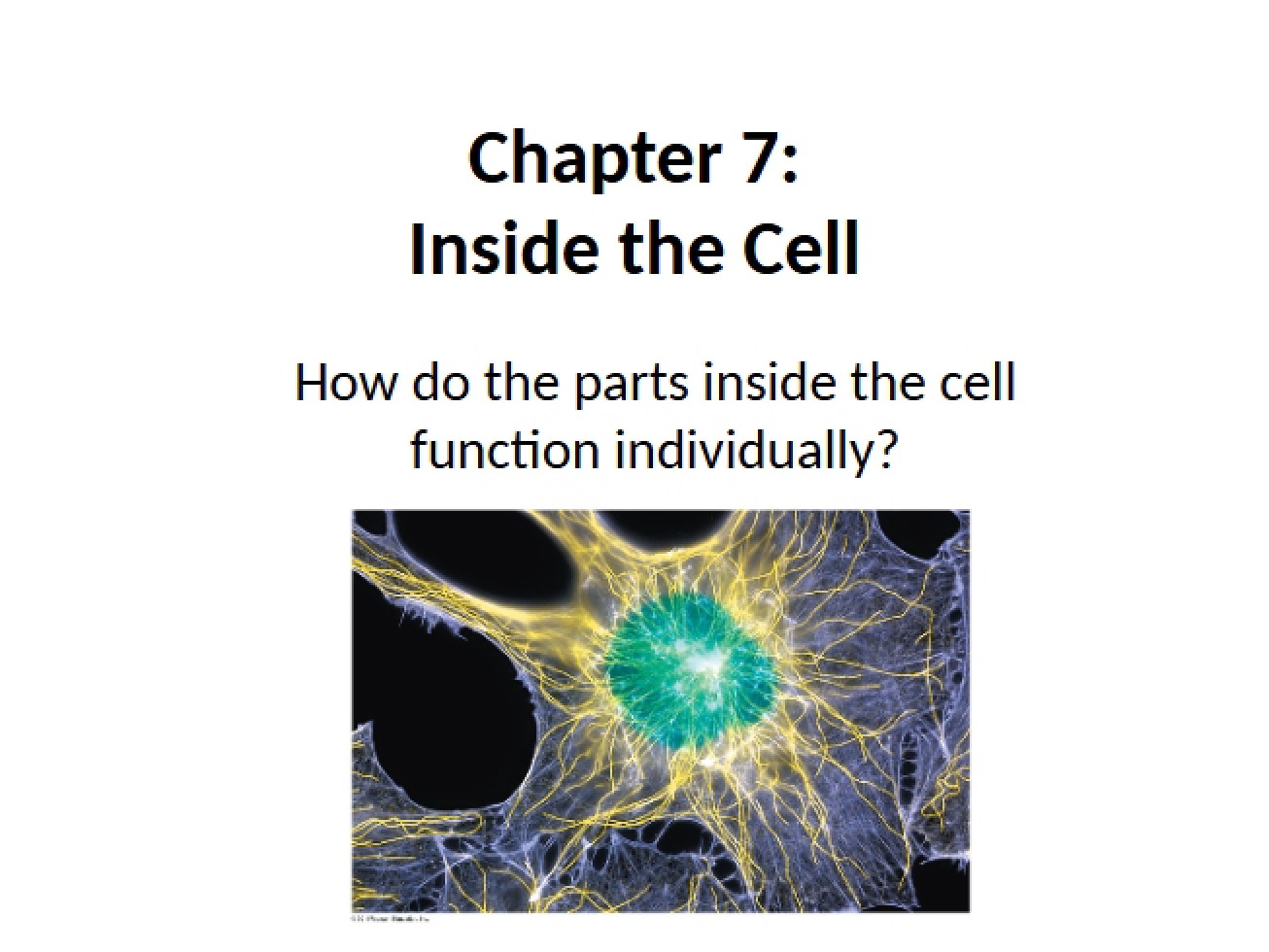 Lab 15 Diffusion