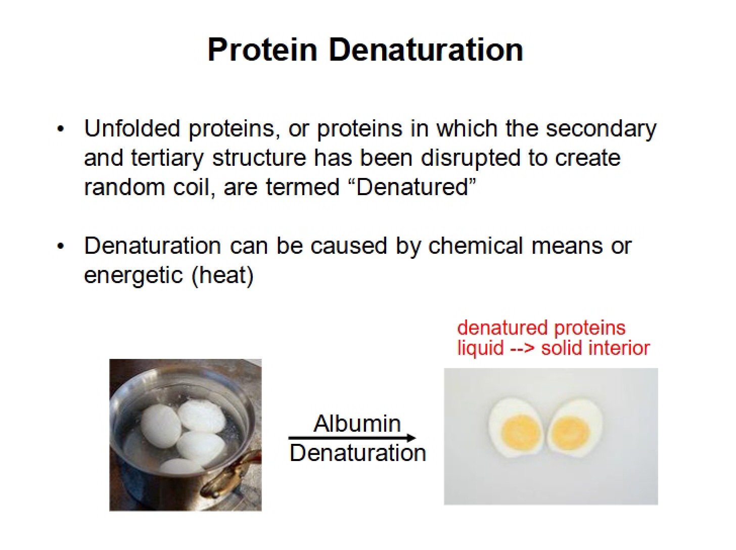 Denaturing Proteins