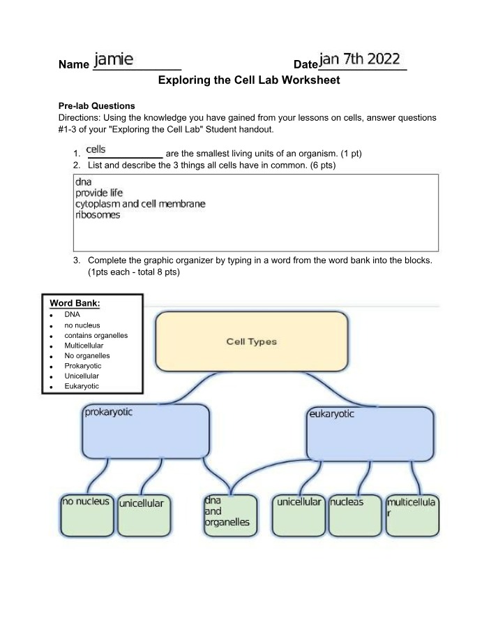 Worksheet for the Cell Lab
