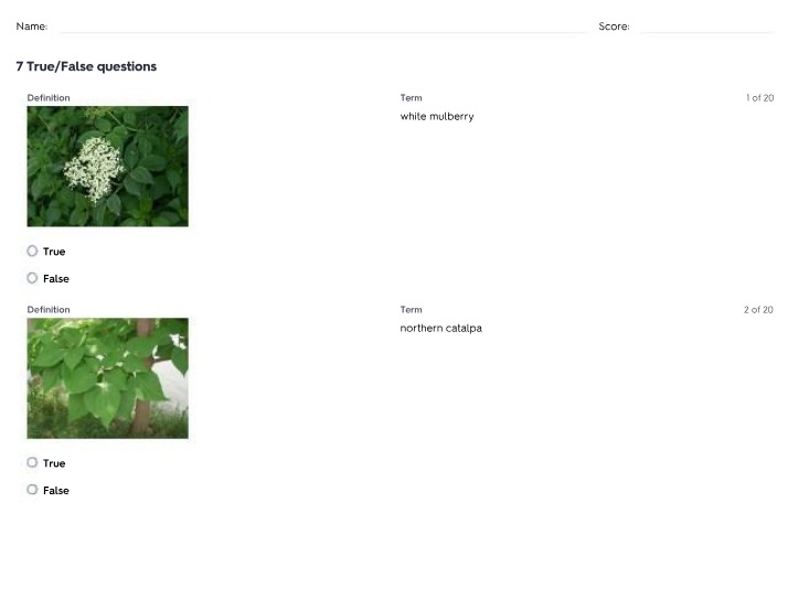 Tree Species Identification - True-False & Multiple Choice