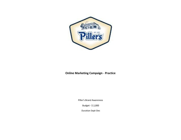 Online Marketing Campaign - Group 2 (Pillers)