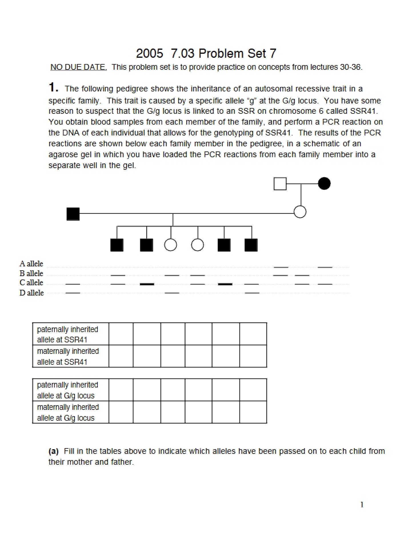 Set 7 Problems