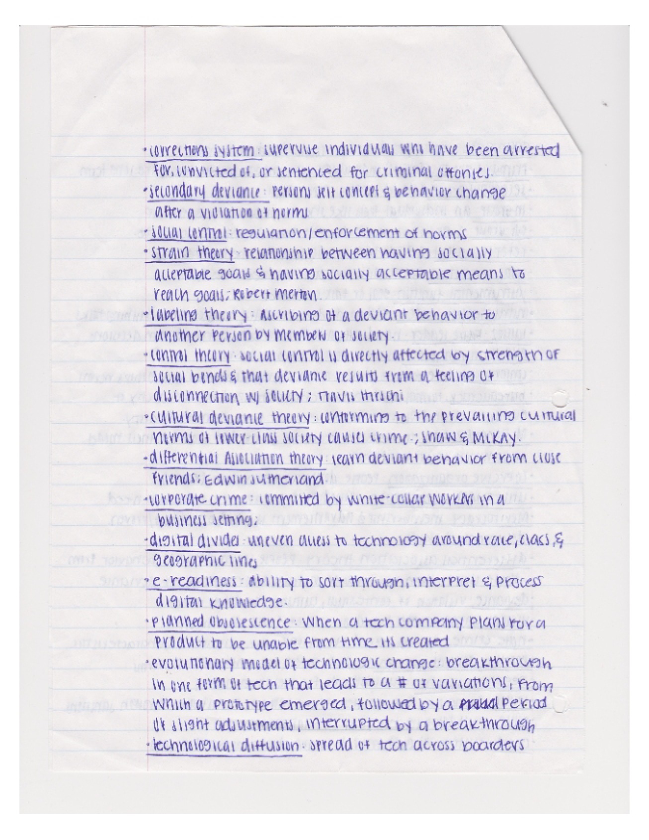 Sociology Class Notes