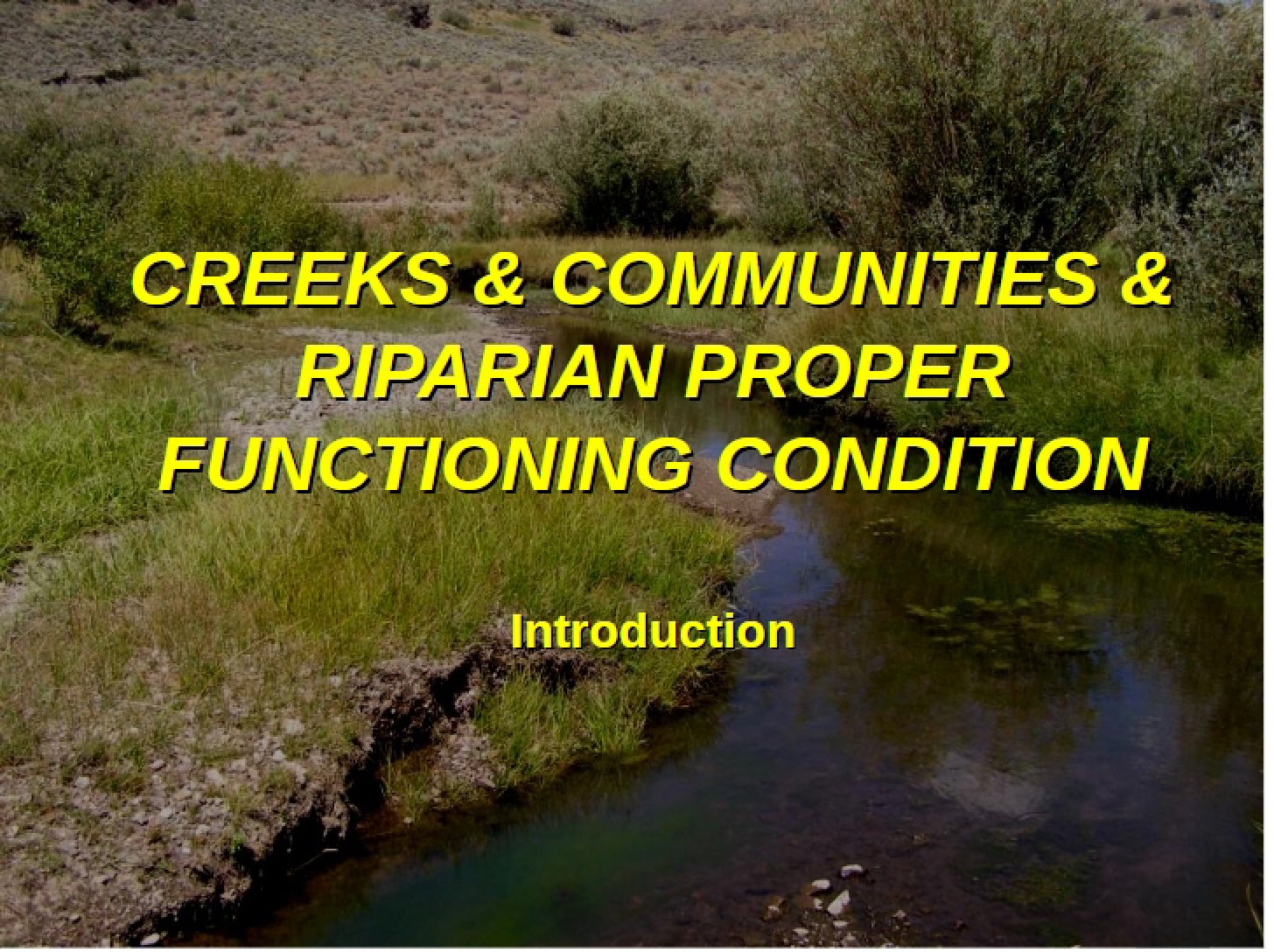 Introduction to Course