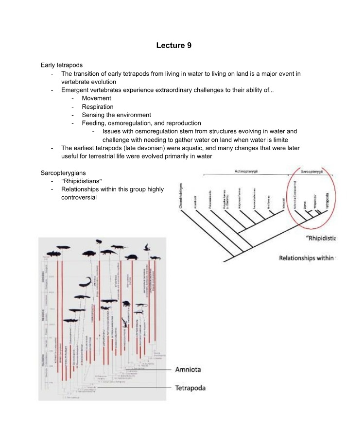 Lecture 9 - Vertebrate Structure and Function