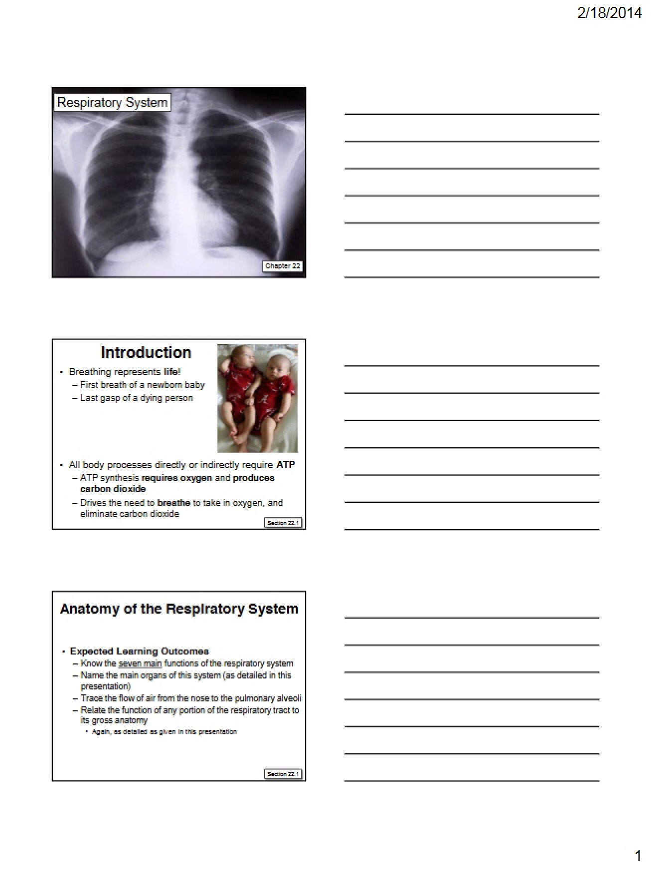 Handout Notes Chapter 22