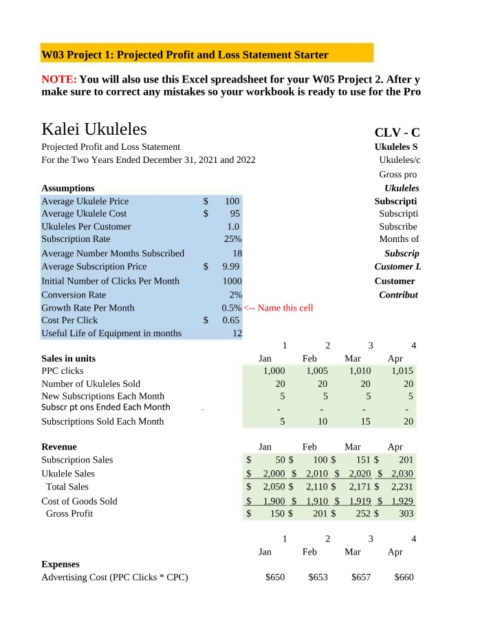 Projected P&L for Kalei Ukuleles - W03 Project 1