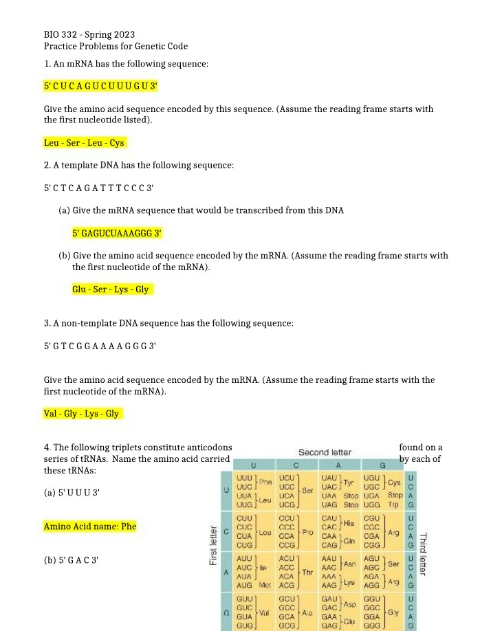 Worksheet - Genetic Code