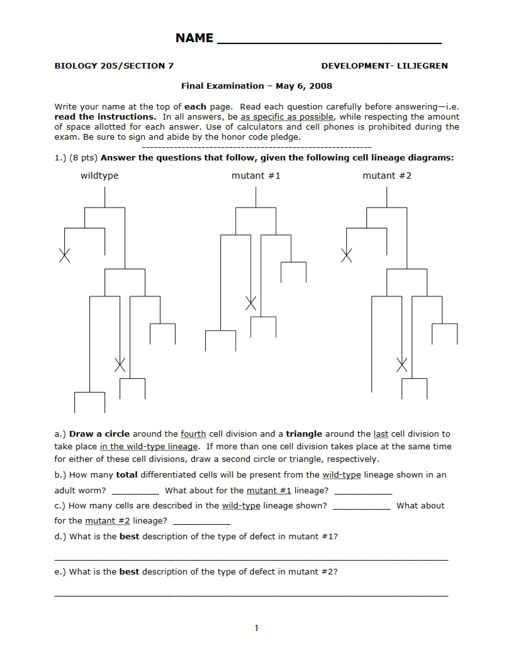 Final Course Examination
