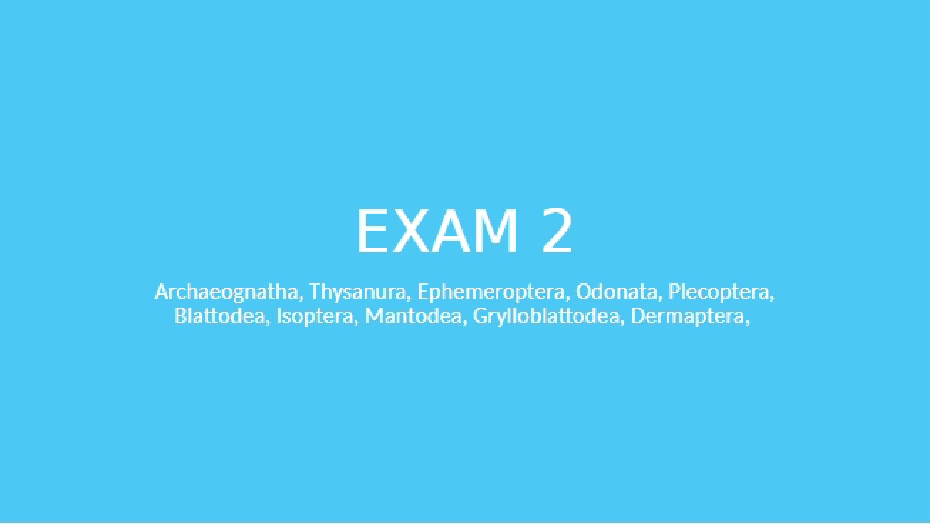 Third Assignment for Macroeconomic Theory