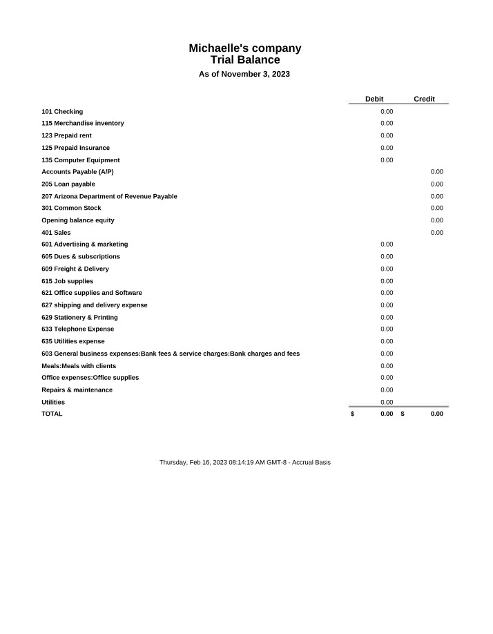 Michaelle's Company Trial Balance Section B