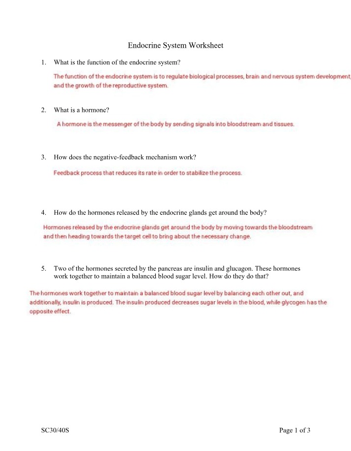 Worksheet for the Endocrine System
