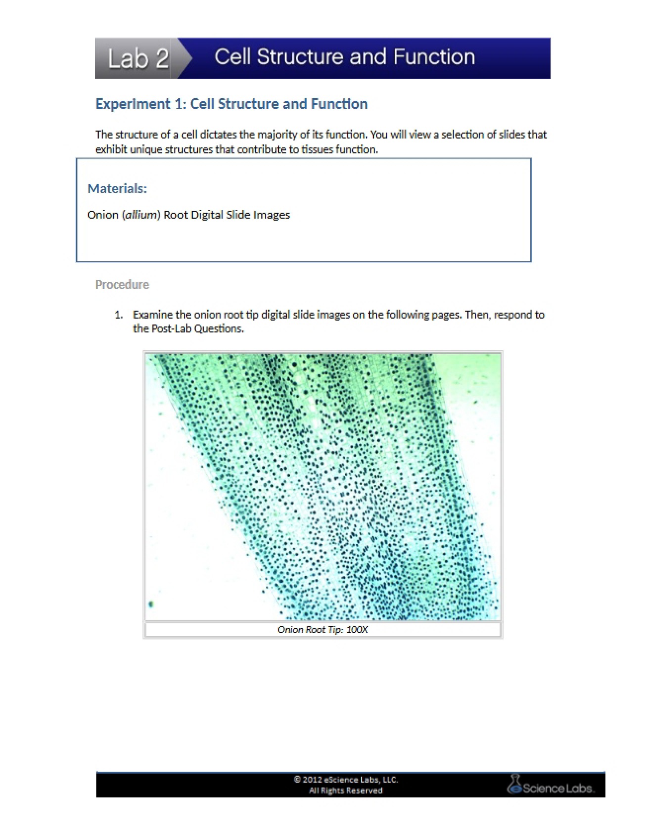 First Experiment on the Structure and Function of the Cell