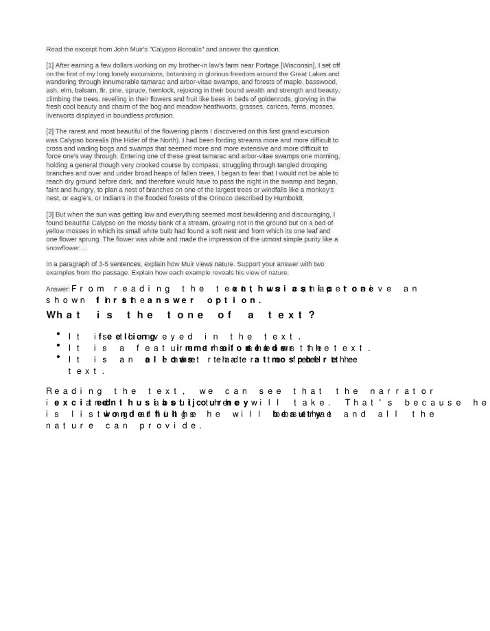 ENGLISH 1.04 - Assignment 4