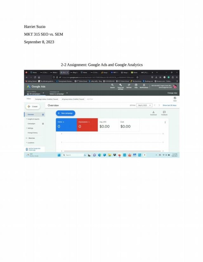 MKT 315 Assignment 2-2 - Google Ads and Analytics