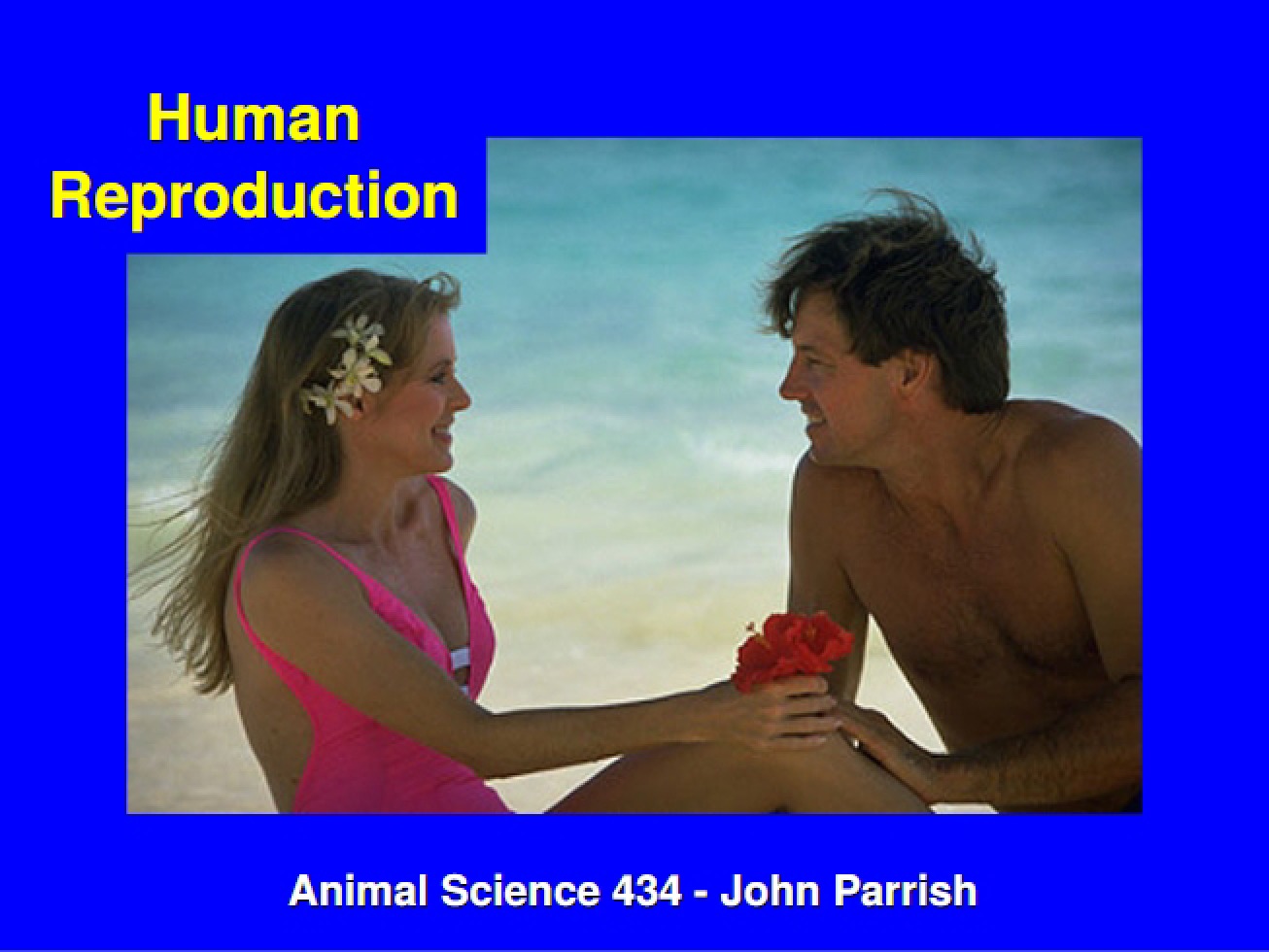 Reproduction in Humans