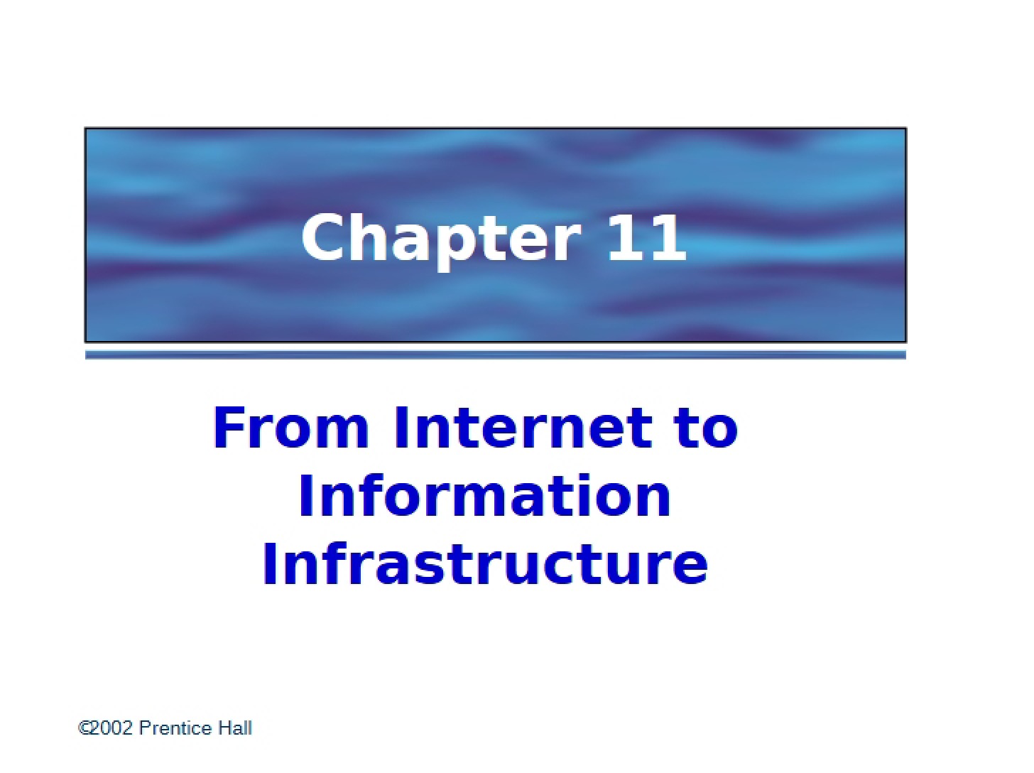 Information Infrastructure and the Internet