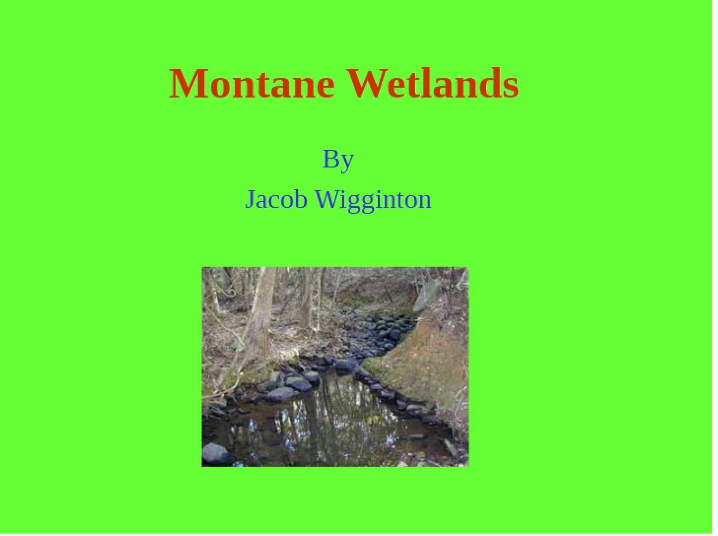 Wetlands in Montane Regions