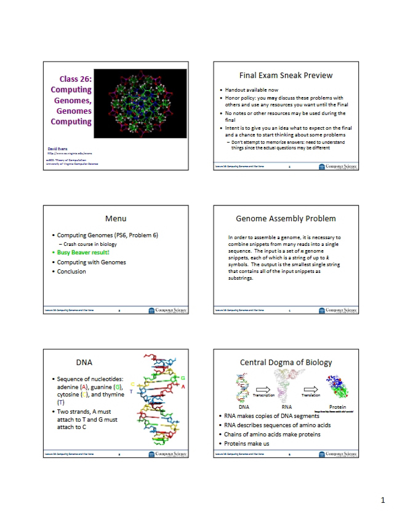 Genomes Computing and Computing Genomes - Theory of Computation
