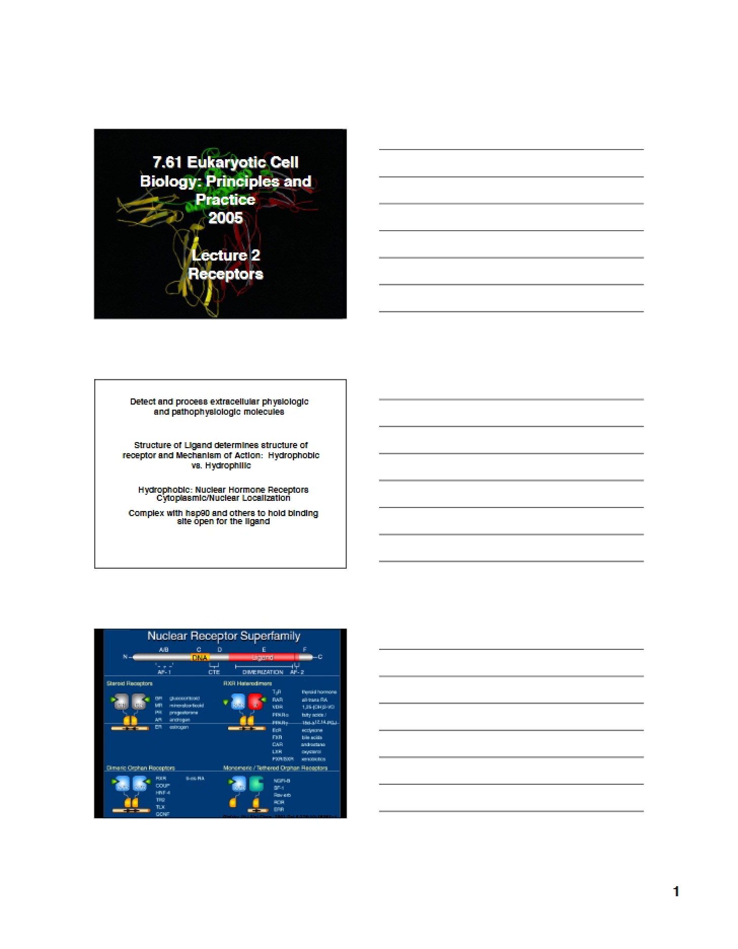 Receptors (Lecture 2)