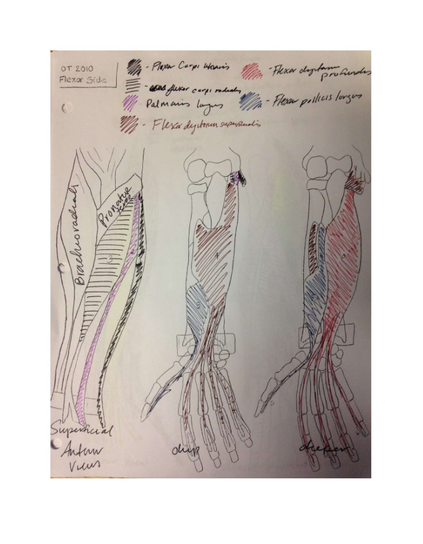 Lecture Notes