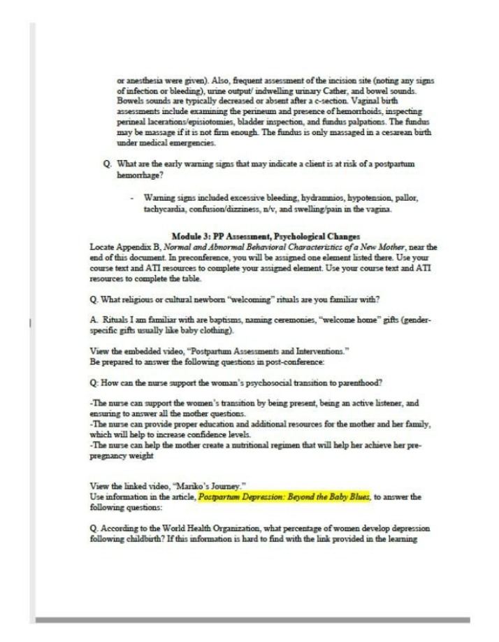 Postpartum Assessment - Rituals, Warning Signs, and Support Study