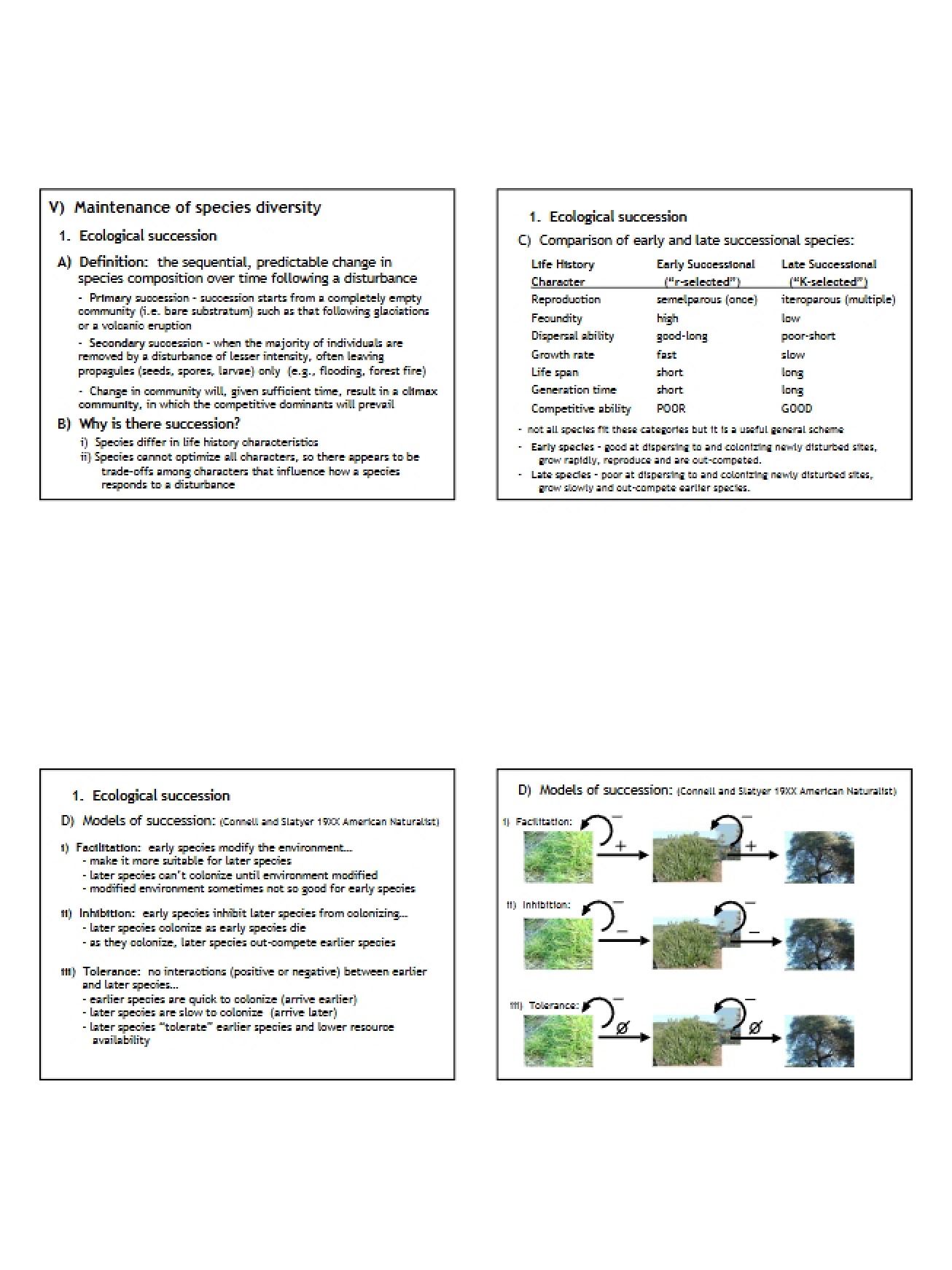 How Species Diversity is Maintained