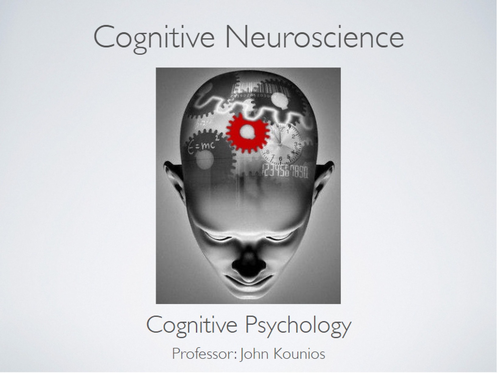 Cognitive Neuroscience (Part 2)